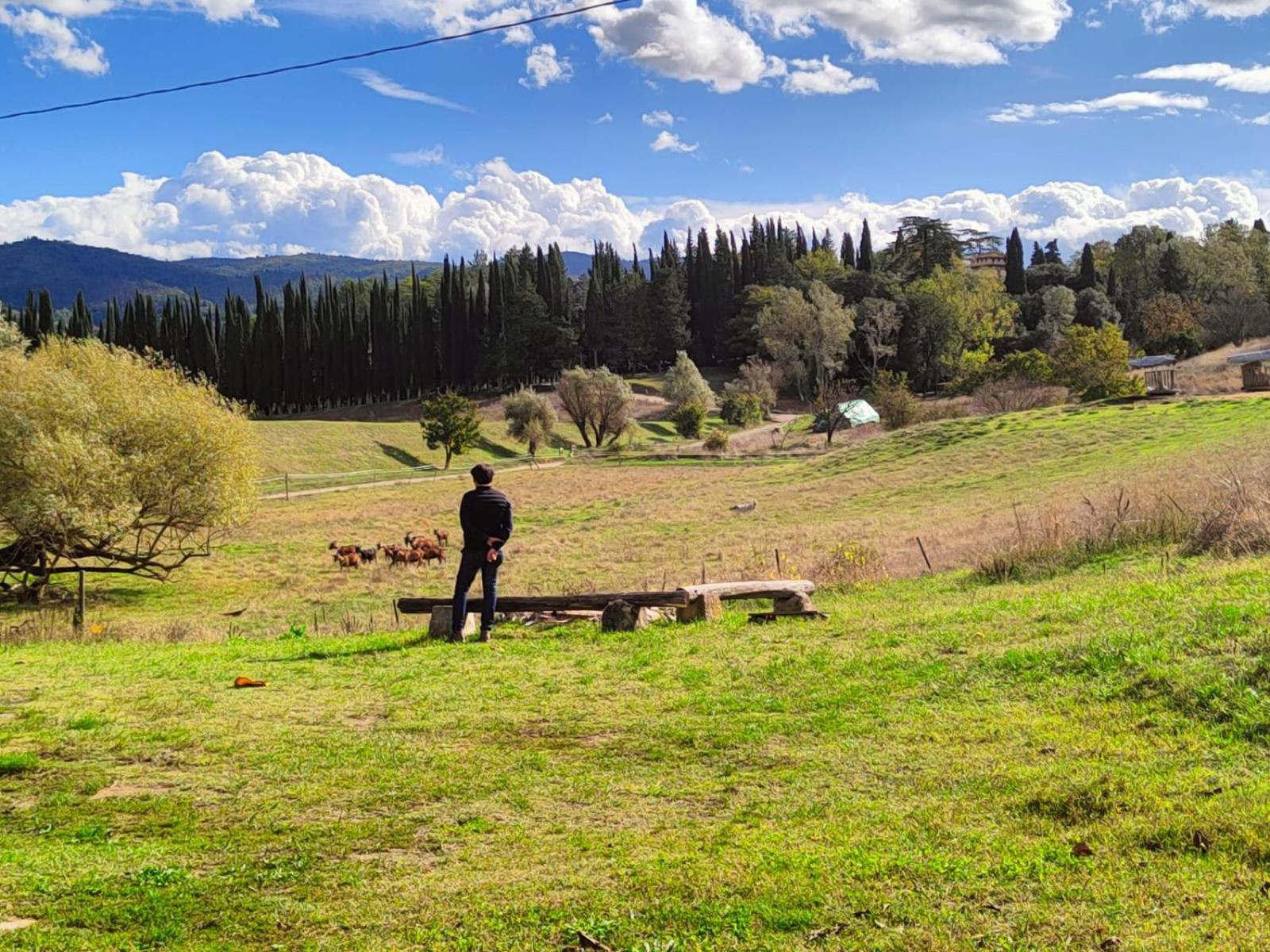 Agriturismo Podere Le Fornaci Greve in Chianti Extérieur photo